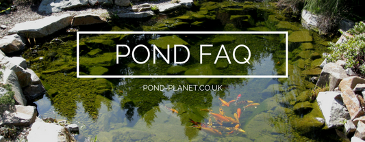 Garden Pond FAQ