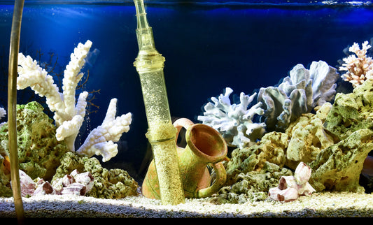 How To Lower Phosphates In An Aquarium