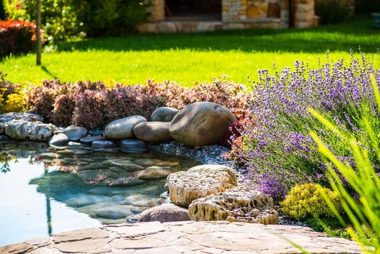 Choosing The Right Pond Plants For Your New Pond