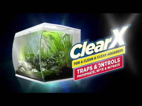 Clear X Media Insert