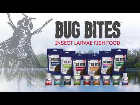 Bug Bites Goldfish Formula Fish Food
