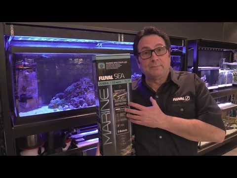 Marine Spectrum 3.0 Bluetooth LED