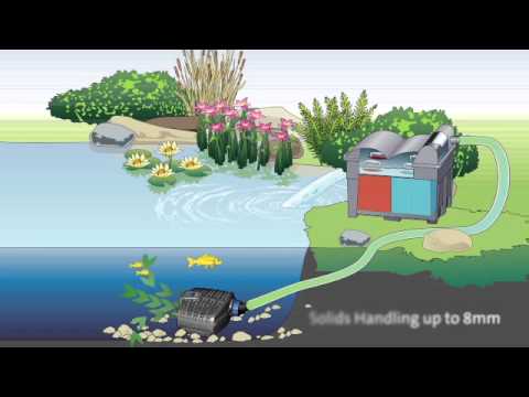 Aquamax Eco Classic 14500 Pond Pump