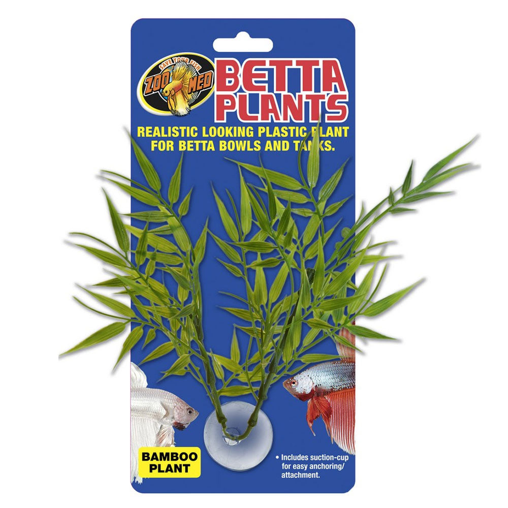 Betta Plant Bamboo