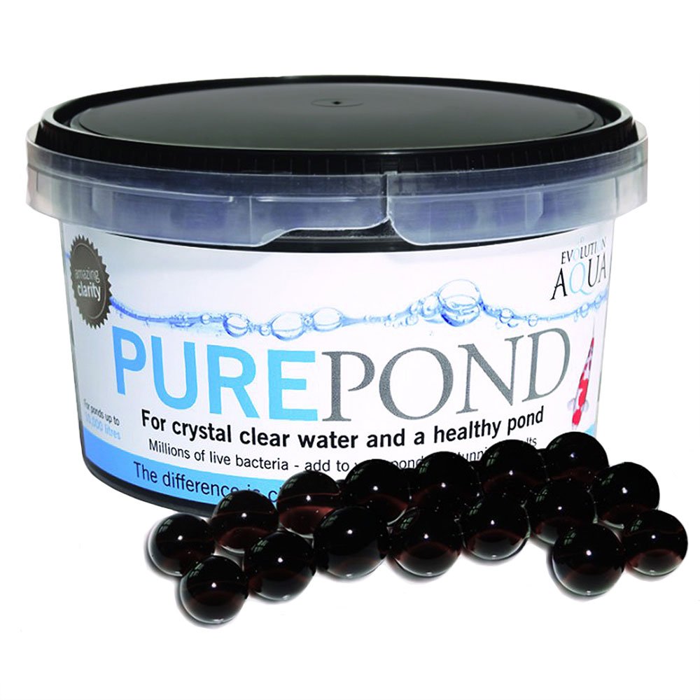 Pure Pond