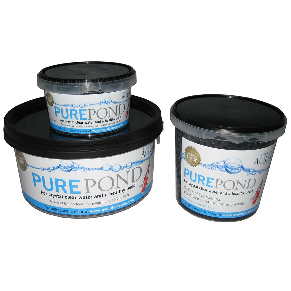 Pure Pond