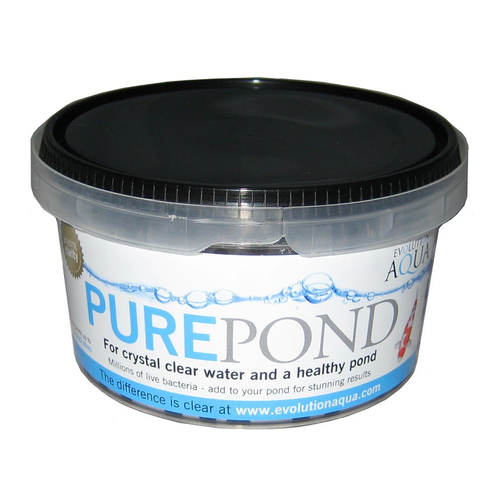 Pure Pond