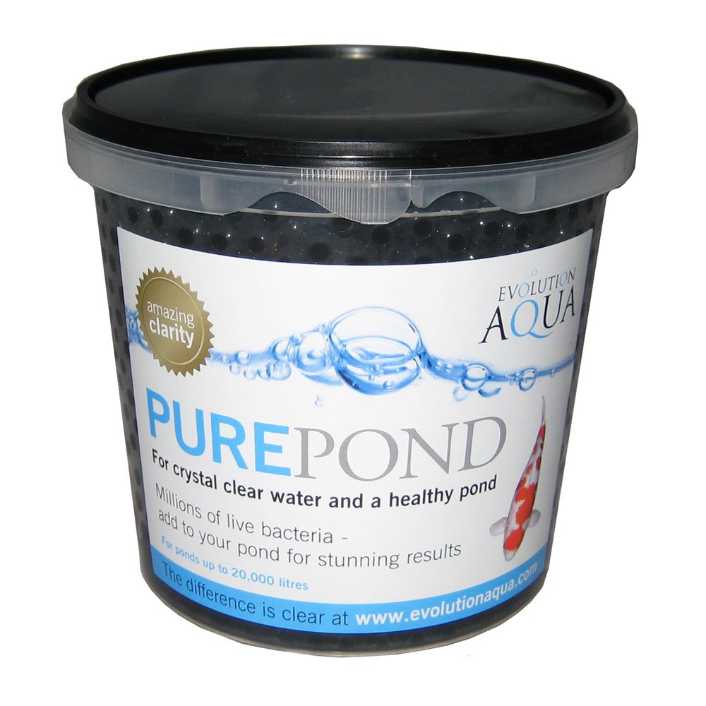 Pure Pond