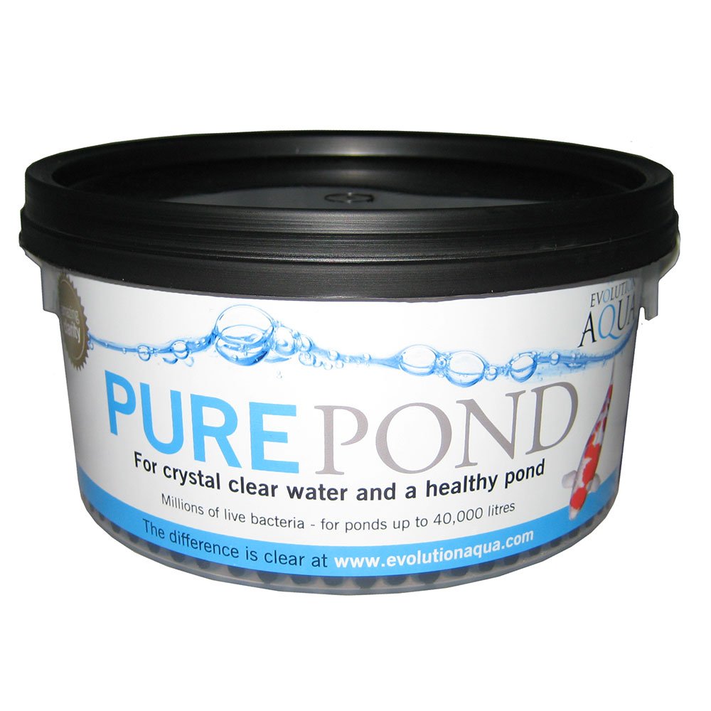 Pure Pond
