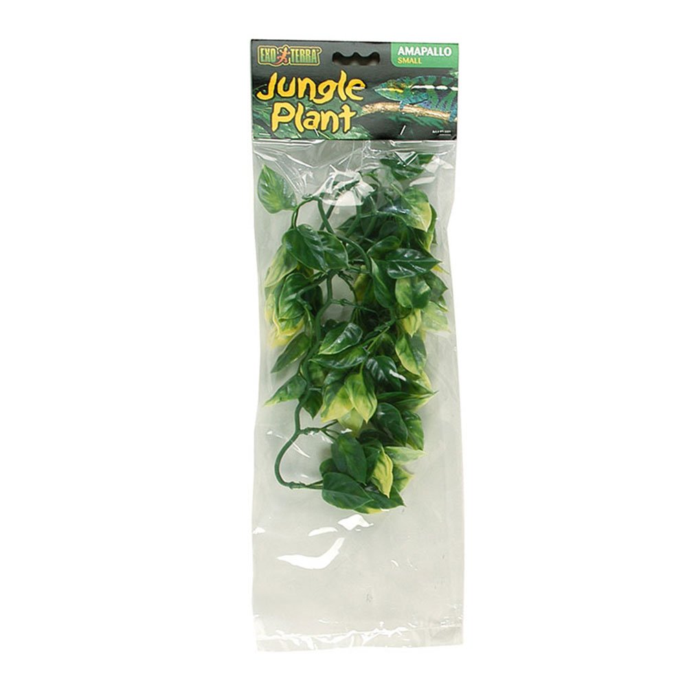 Plastic Amapallo Plants
