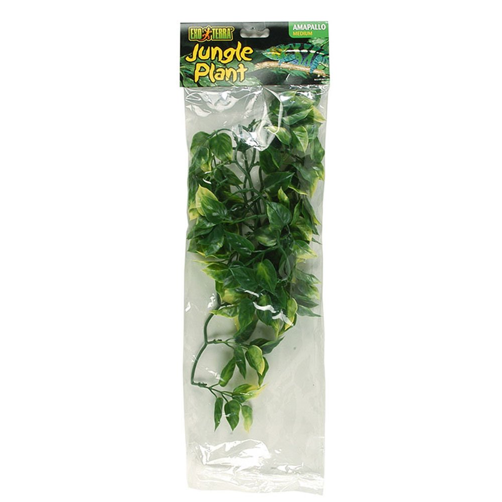 Plastic Amapallo Plants