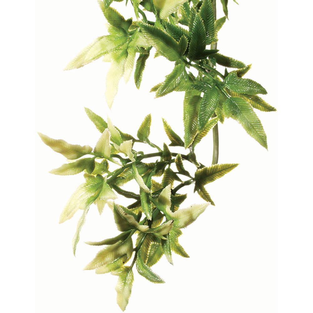 Plastic Croton Plants