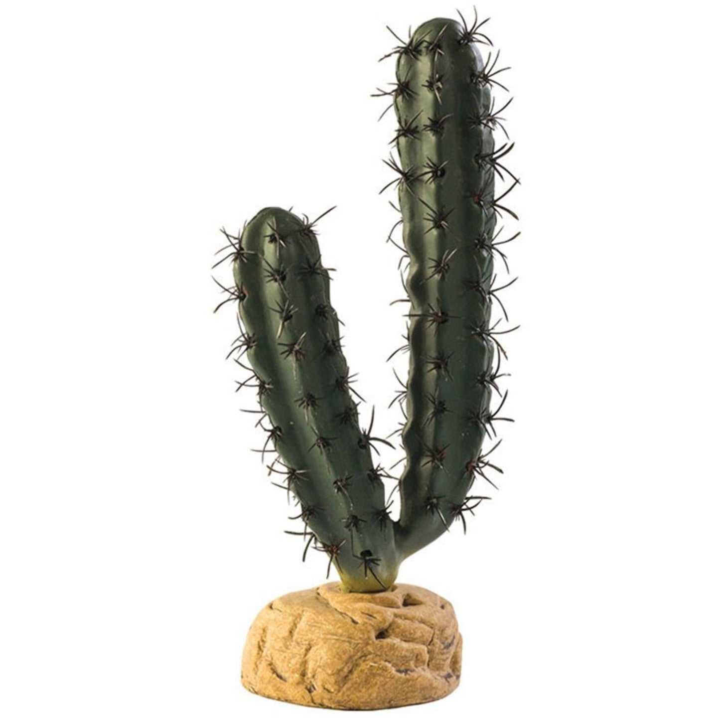 Finger Cactus