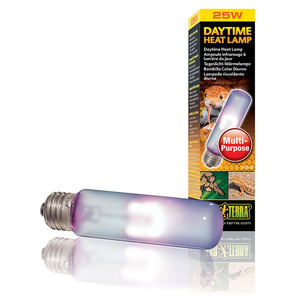 Daytime Heat Lamps