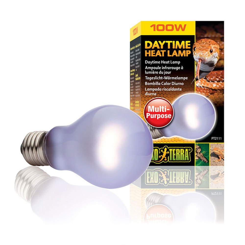 Daytime Heat Lamps