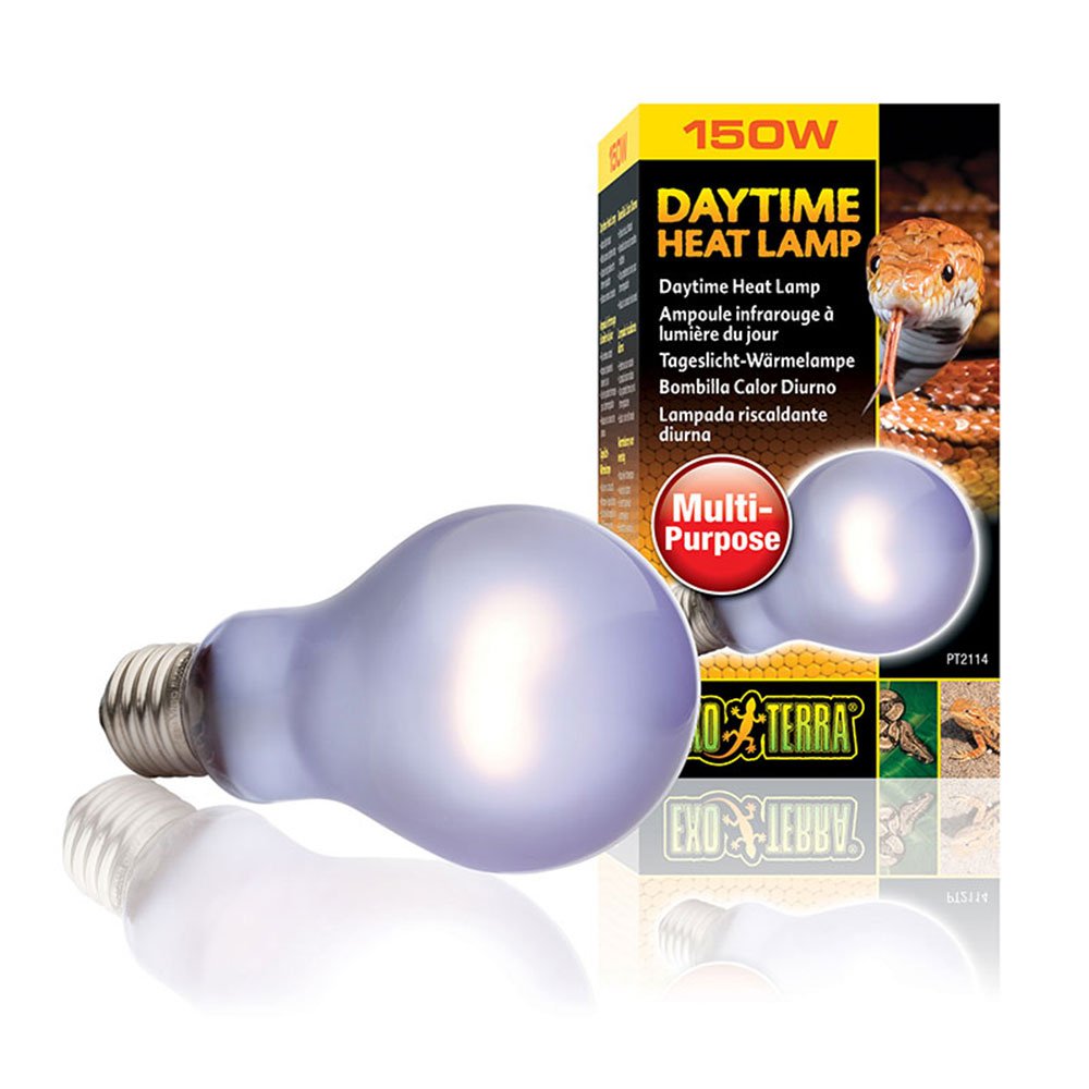 Daytime Heat Lamps