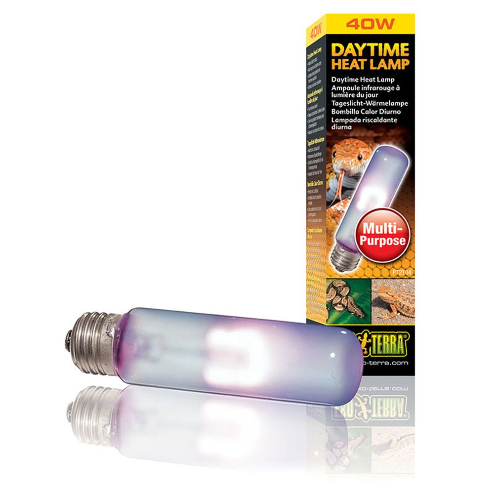 Daytime Heat Lamps