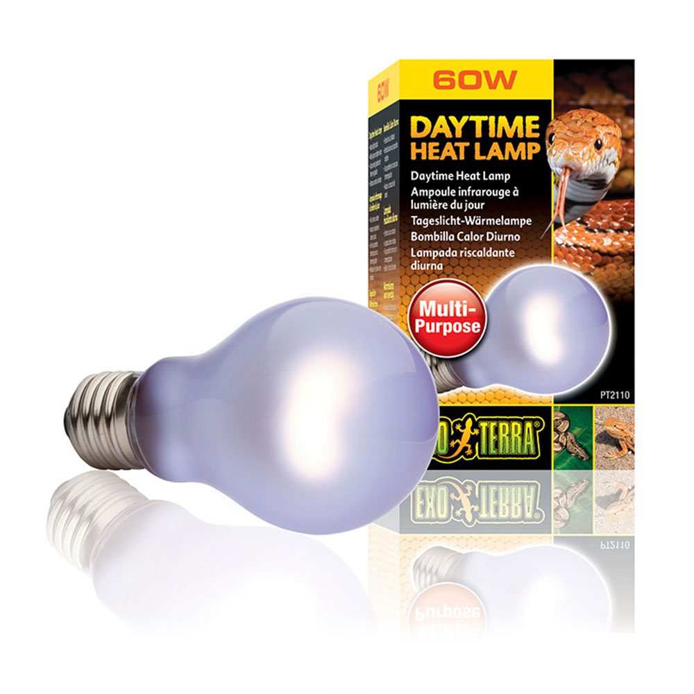 Daytime Heat Lamps
