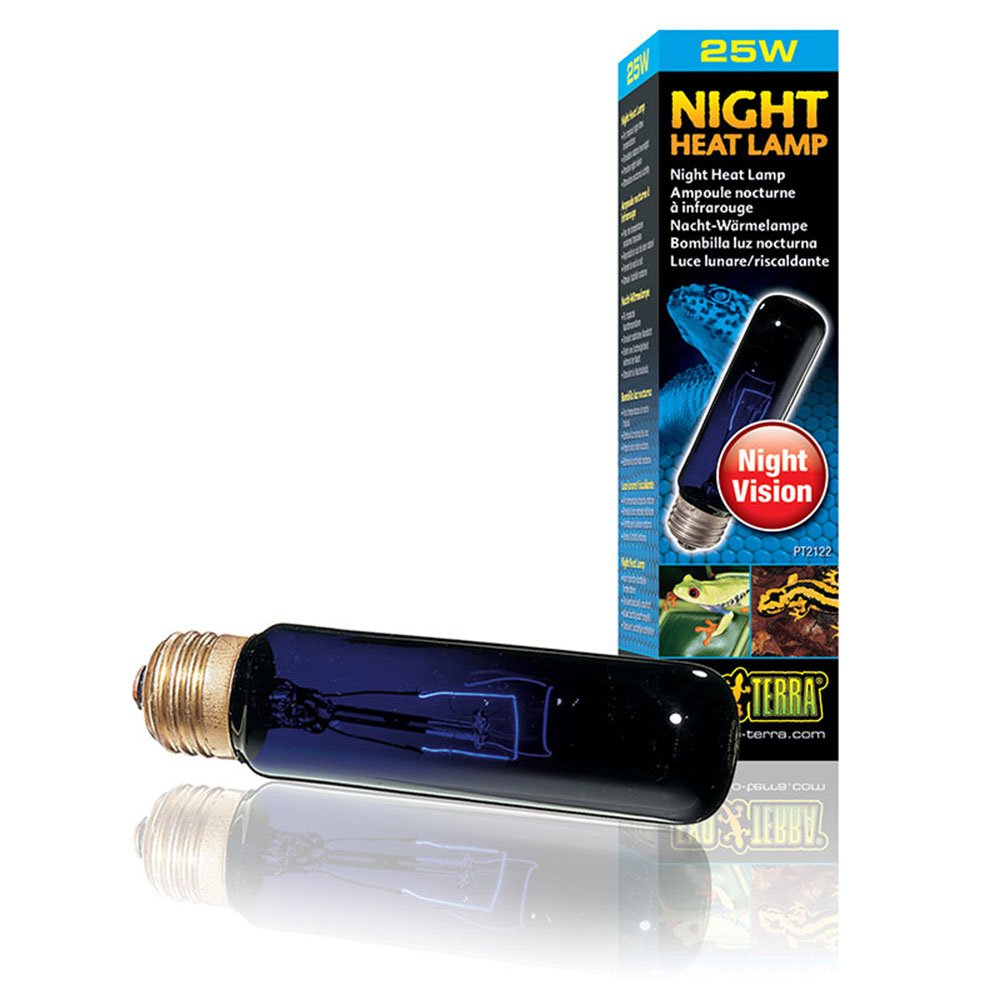 Night Heat Lamps