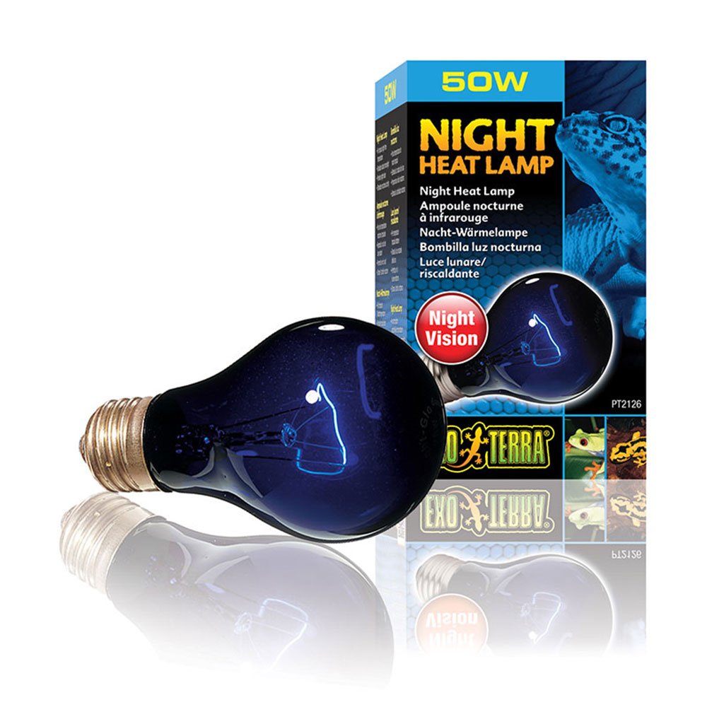 Night Heat Lamps