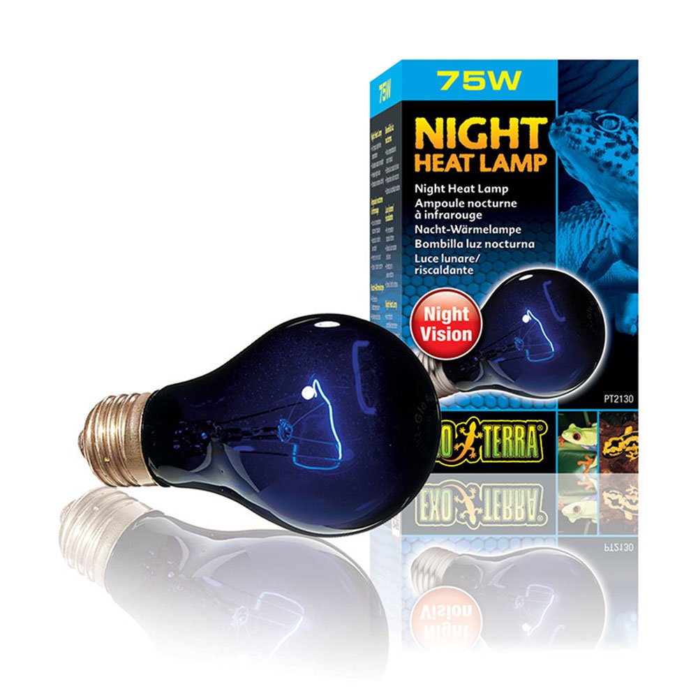Night Heat Lamps
