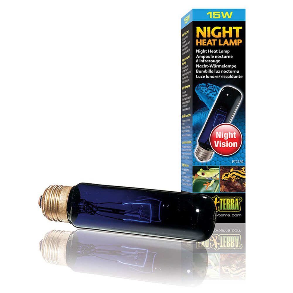 Night Heat Lamps