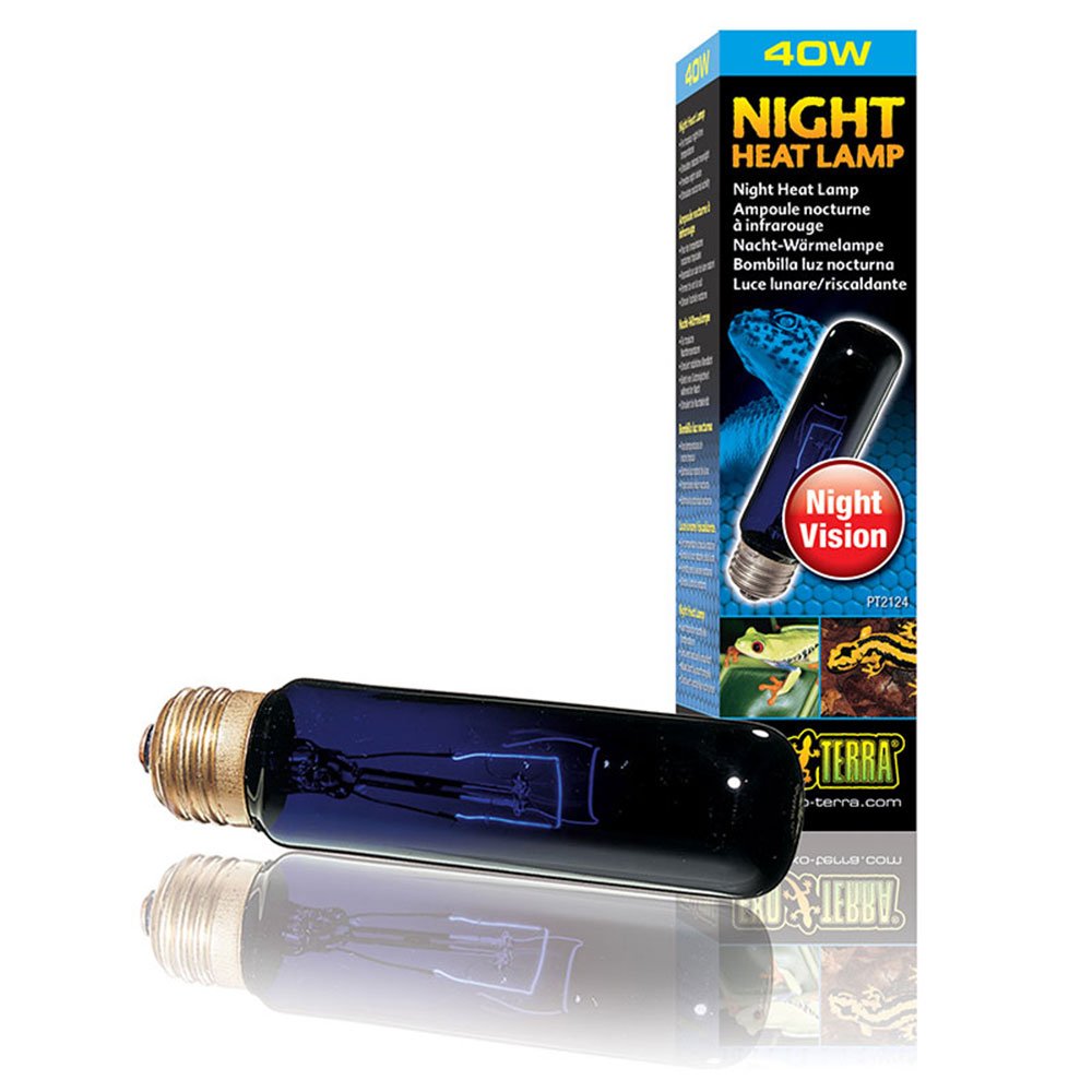 Night Heat Lamps