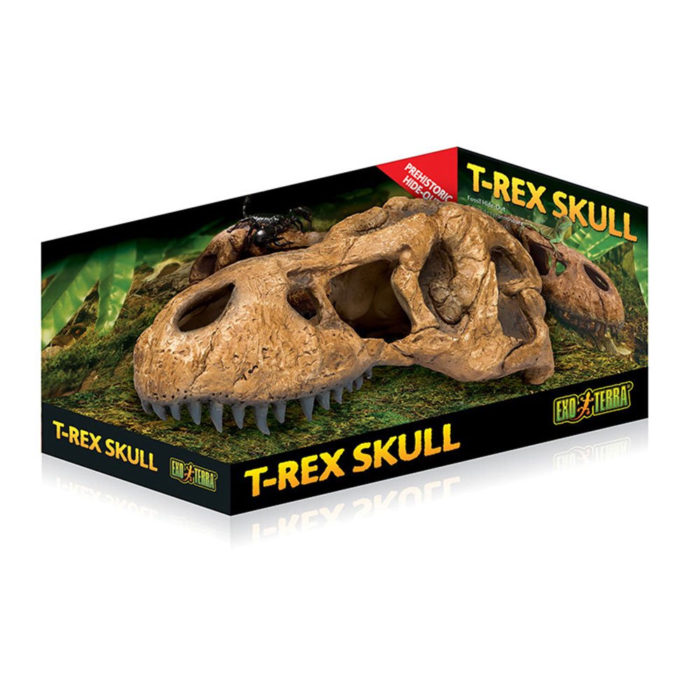 T-Rex Skull
