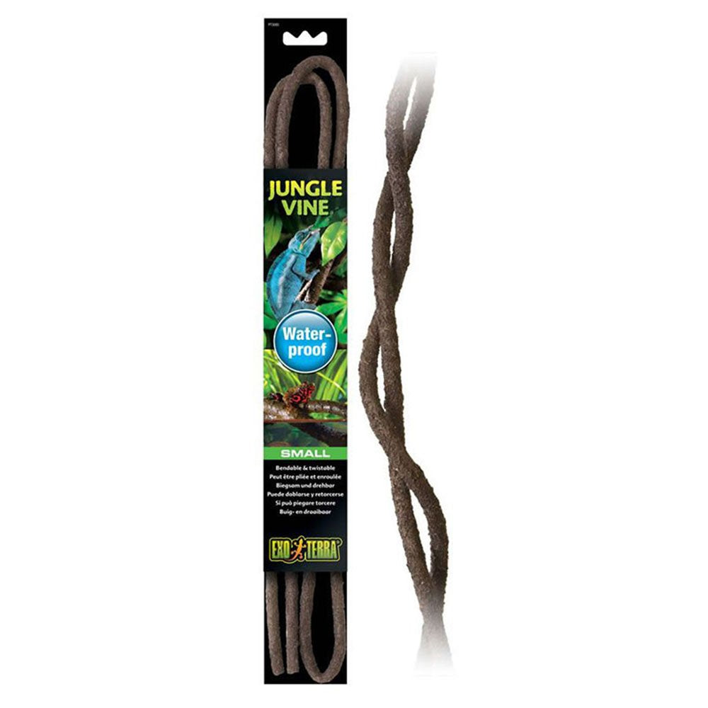 Jungle Vines