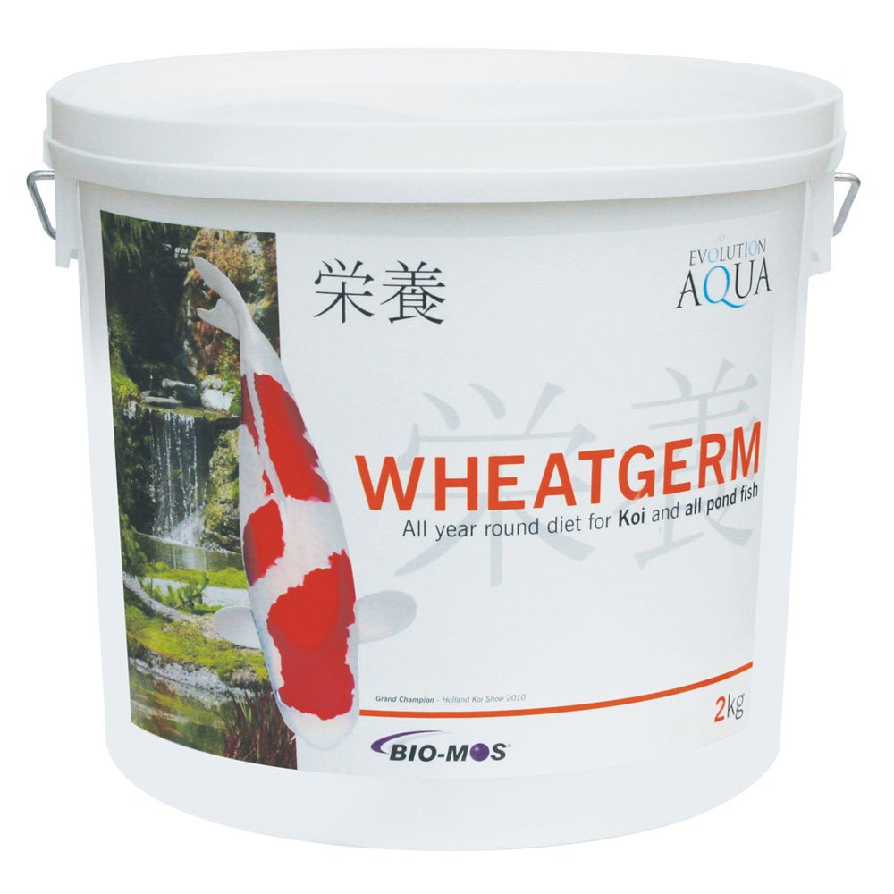 Wheatgerm