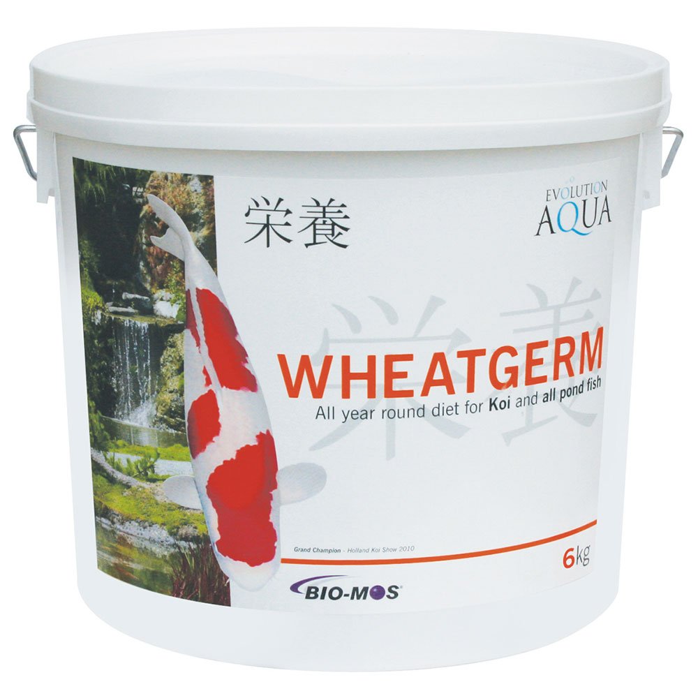 Wheatgerm