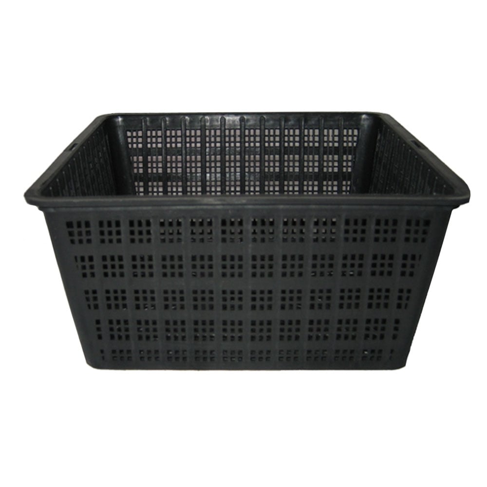 Square Pond Baskets