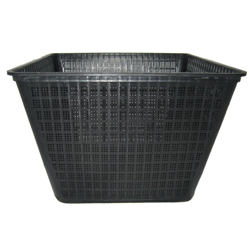 Square Pond Baskets