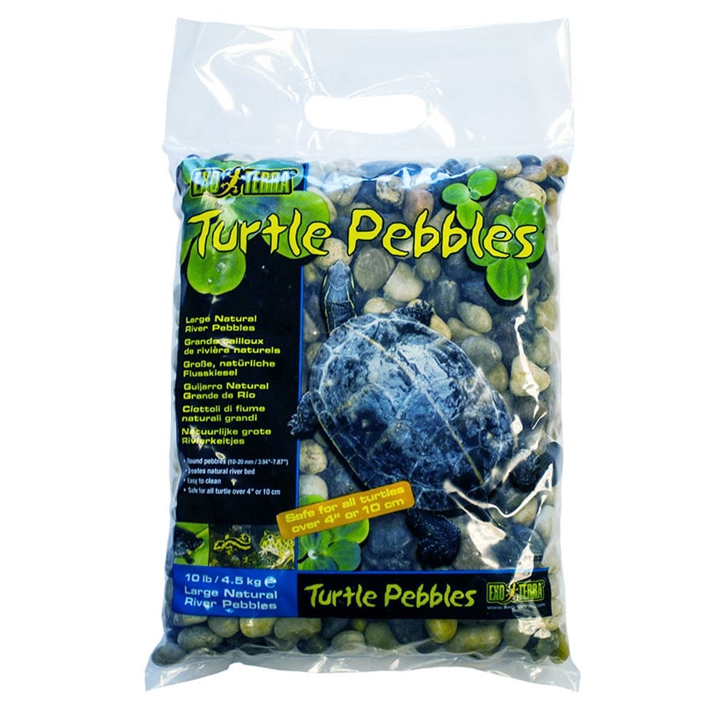 Turtle Pebbles