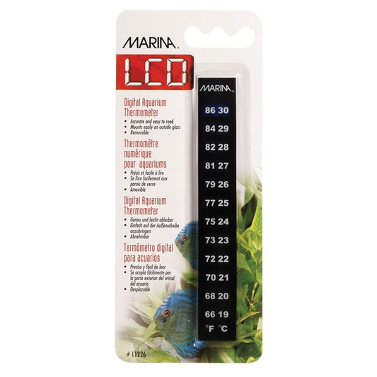 LCD Digital Thermometer