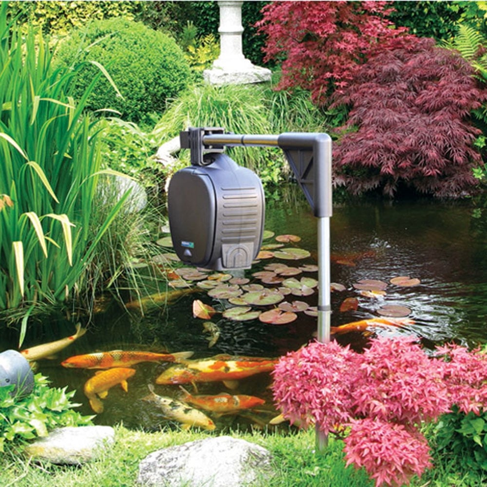 Automatic Fish Feeder