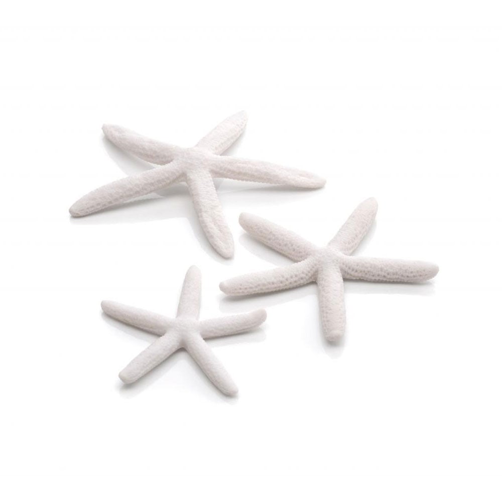 Star Fish - White