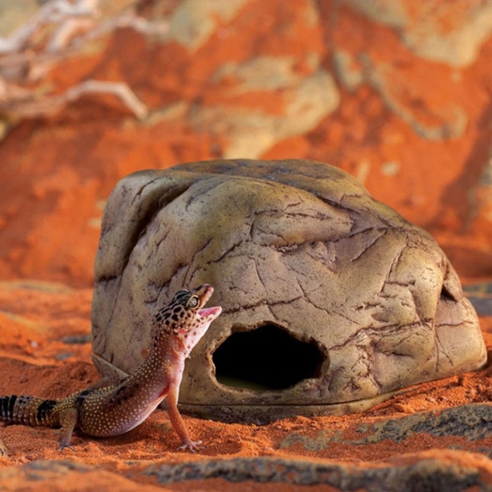 Gecko Caves