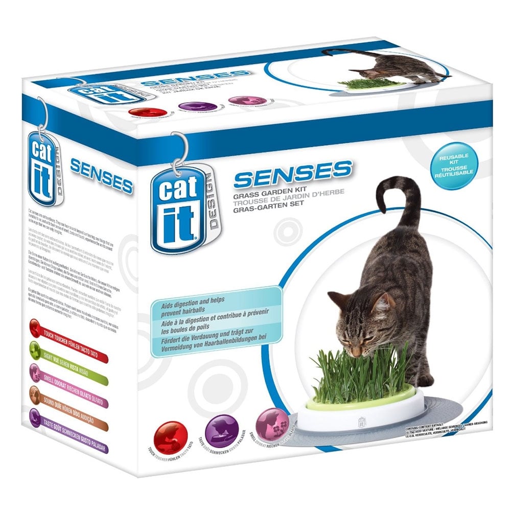 Design Senses Grass Garden Kit