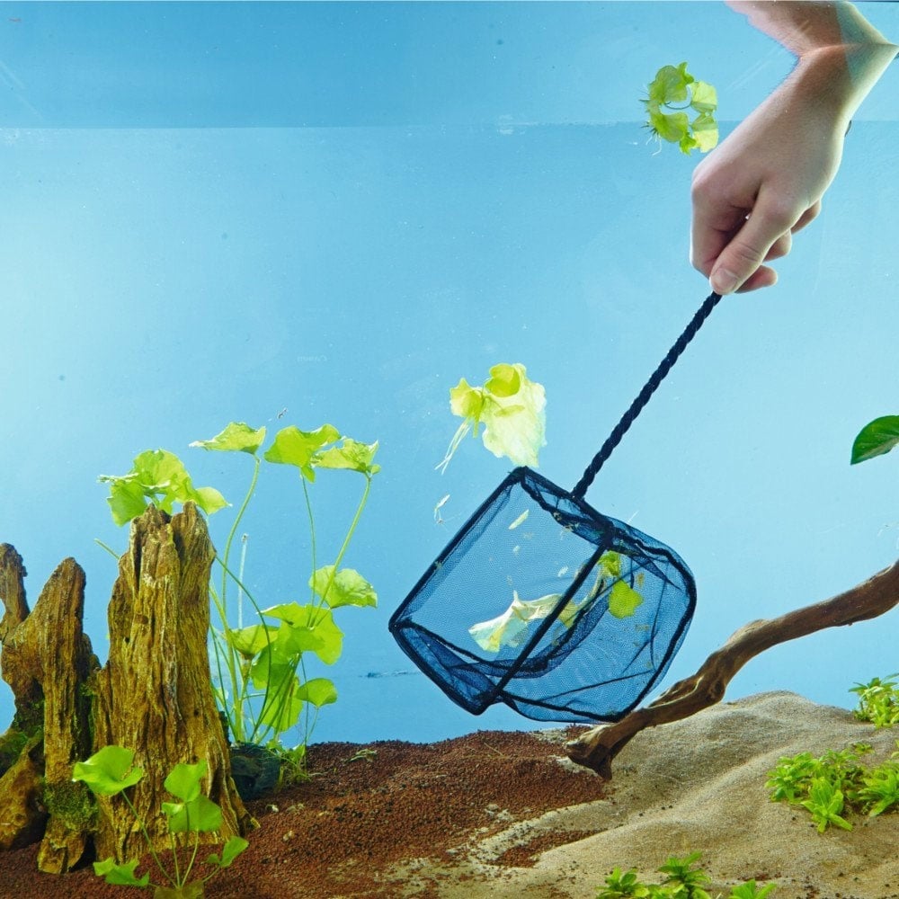 Aquarium Fish Nets