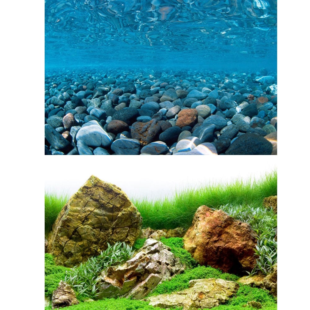 River Rock / Sea of Green Aquarium Background
