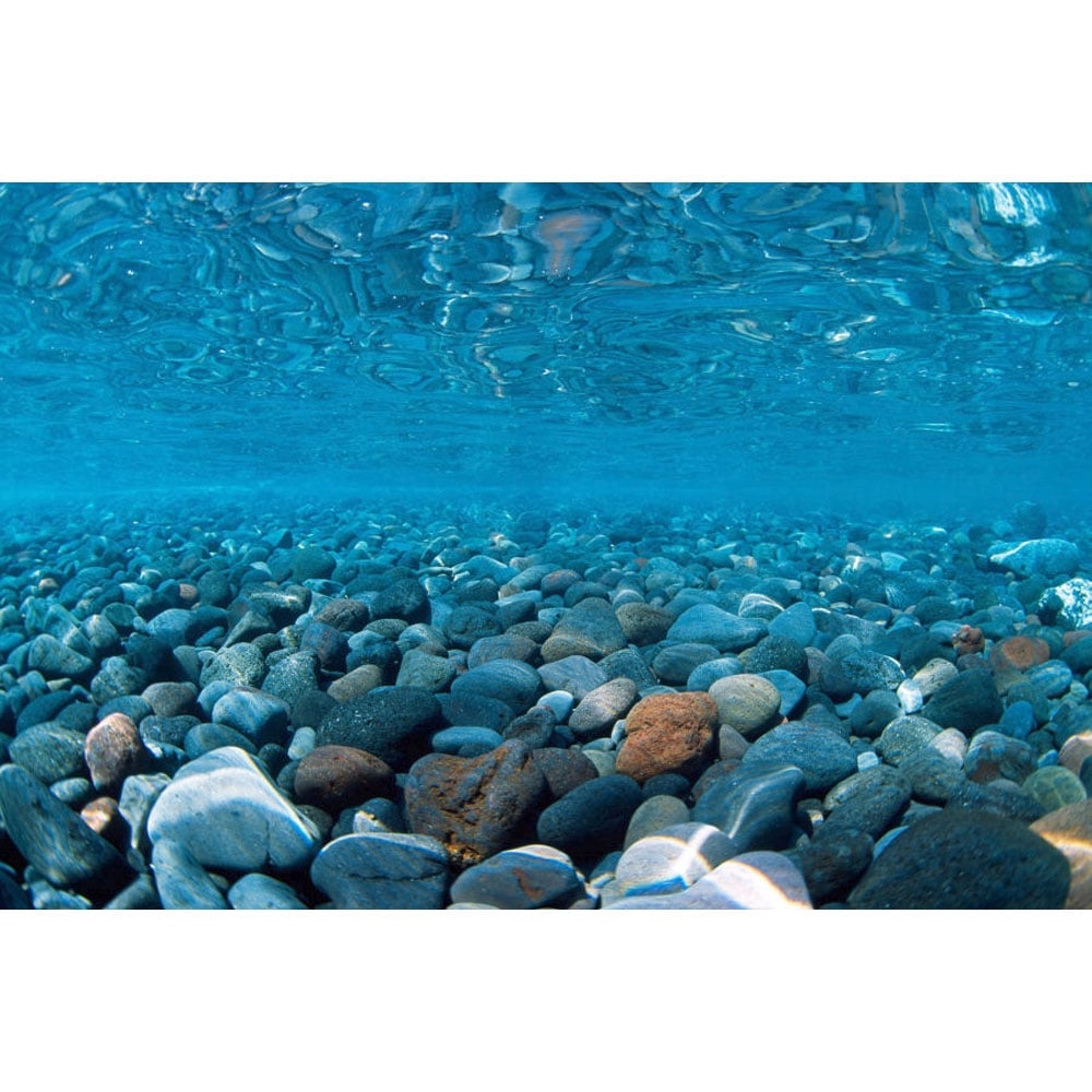 River Rock / Sea of Green Aquarium Background