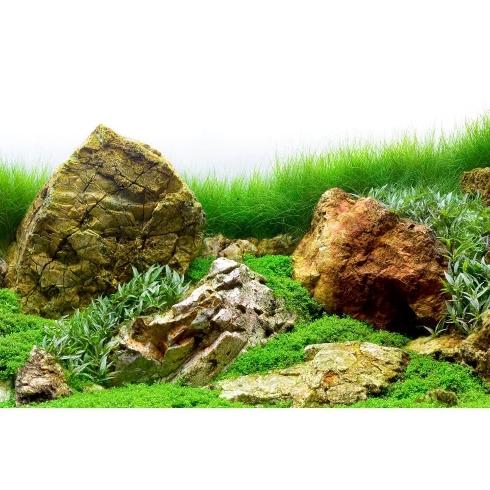 River Rock / Sea of Green Aquarium Background