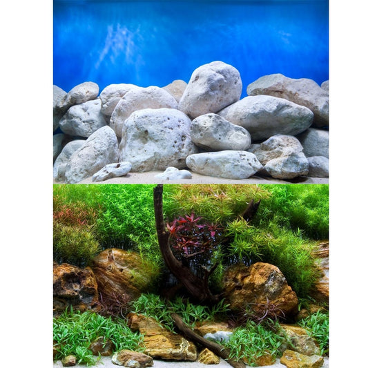 Aquatic Garden / Bright Stone Aquarium Background