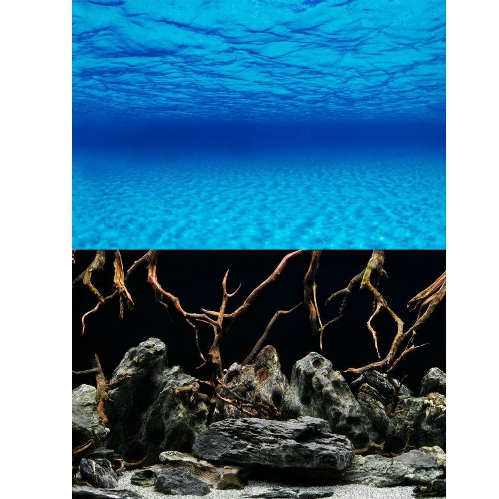 Seascape / Natural Mystic Aquarium Background