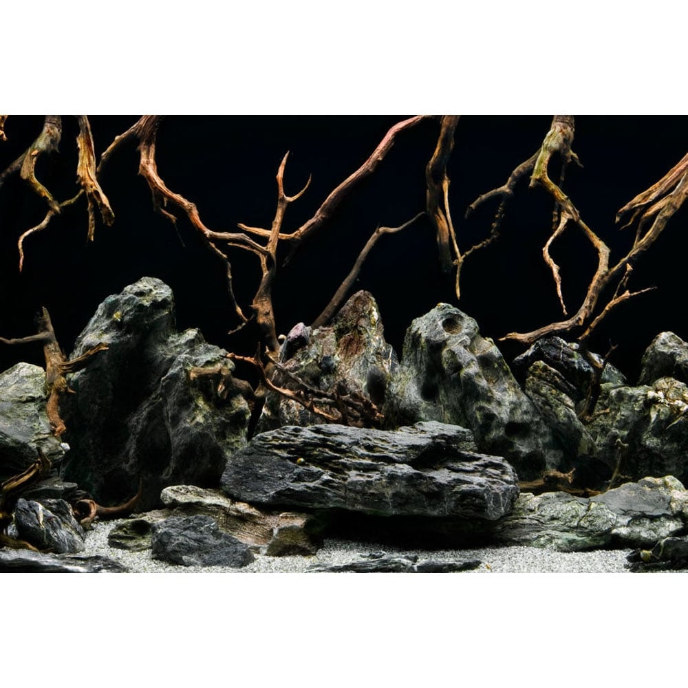 Seascape / Natural Mystic Aquarium Background