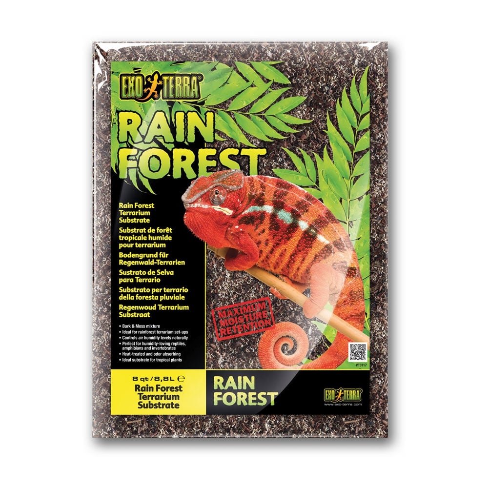 Rain Forest Substrate