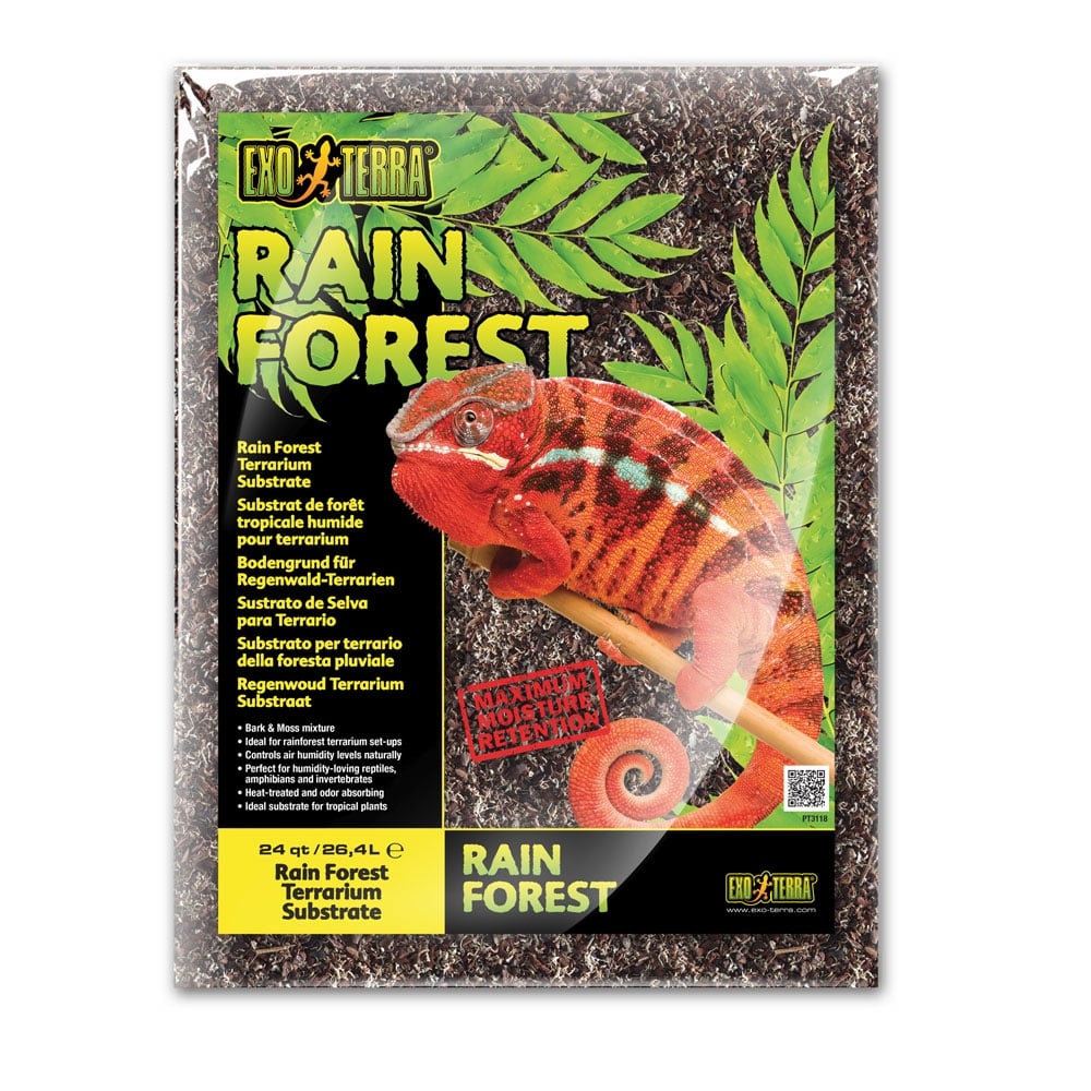 Rain Forest Substrate