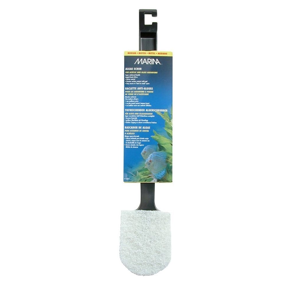 Algae Scrubber