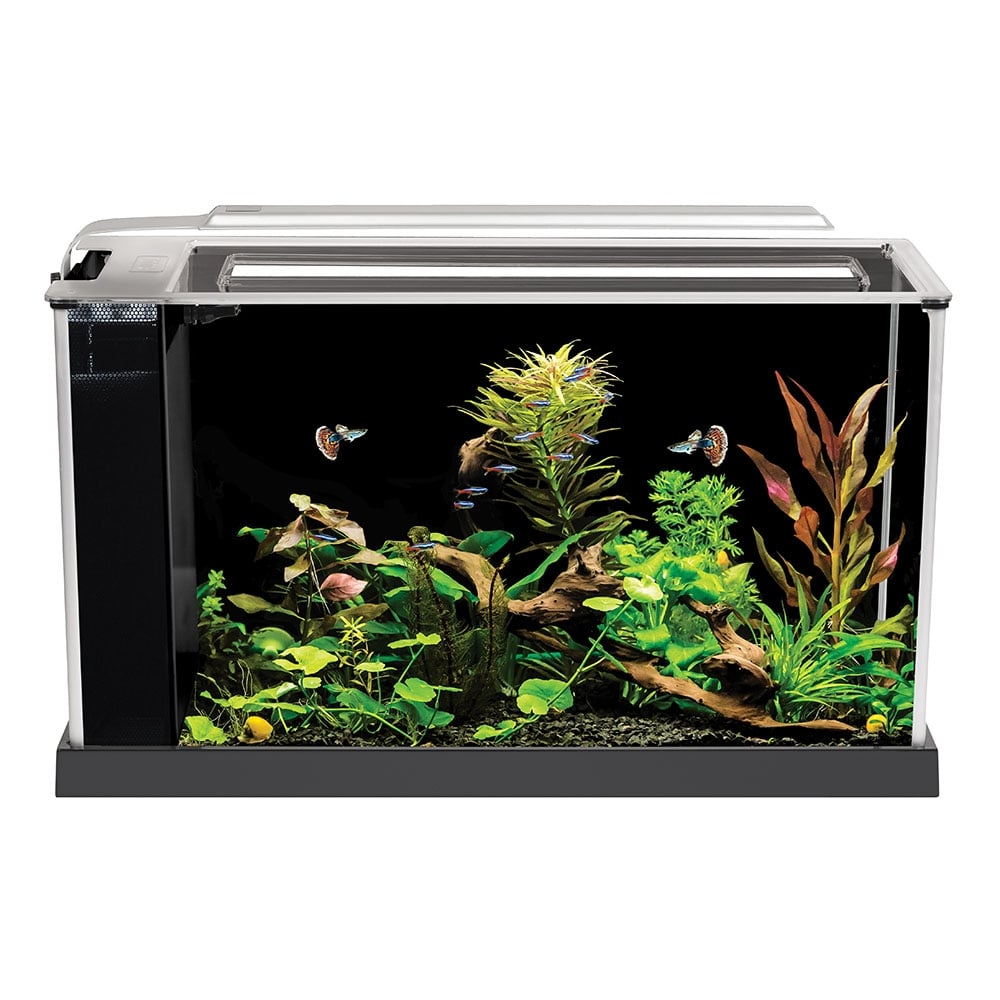 Fluval Spec XV Aquarium, mit 60L Fassungsvermögen, in schwarz, 1 Stück (1er Pack Fluval Spec XV Aquarium, mit 60L Fassungsvermögen, in schwarz, 1 Stück (1er Pack